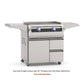 Firemagic Grills Fire Magic Echelon 30" Built-In Gourmet Griddle with Black Glass / E660i-1T4N(P)