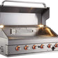 Mont Alpi Grill Mont Alpi 805 Built-In Stainless Steel Grill Head / 6 Burner Grill, Infrared Back Burner, Rotisserie Kit / MABI805