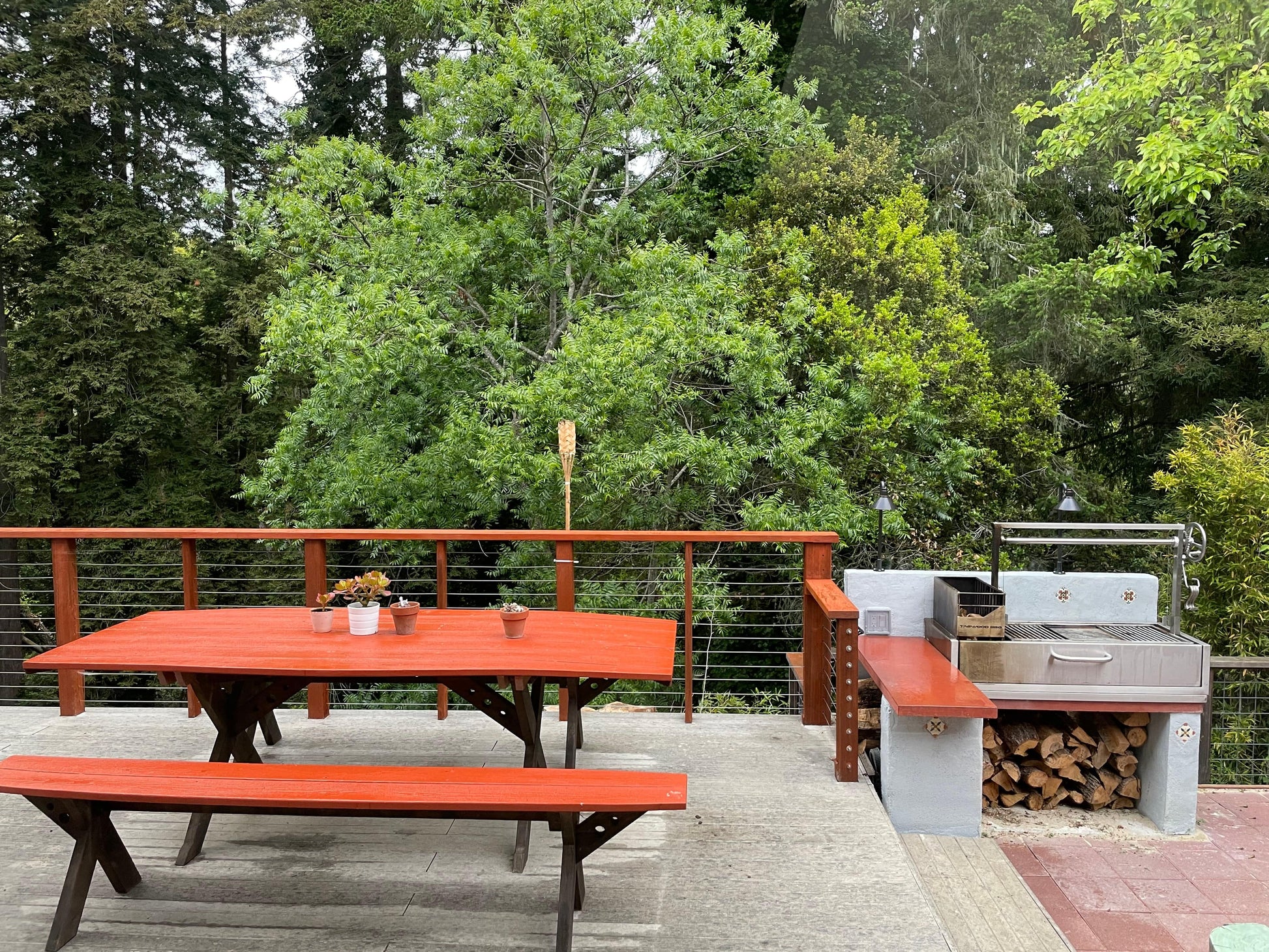 Tagwood Grills Tagwood BBQ Santa Maria Argentine Wood Fire & Charcoal Grill Built in | PRE-ORDER | BBQ05SS